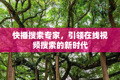 快播搜索专家，引领在线视频搜索的新时代