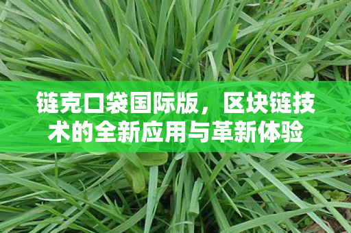 链克口袋国际版，区块链技术的全新应用与革新体验