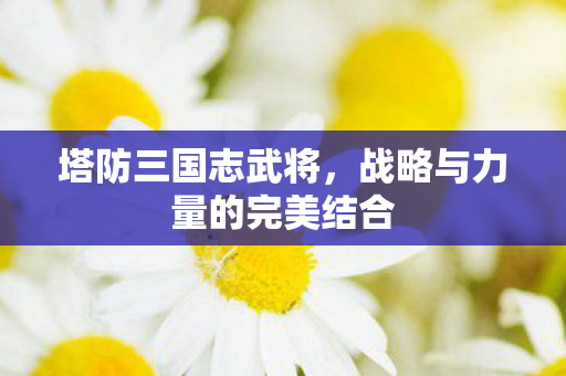 塔防三国志武将，战略与力量的完美结合