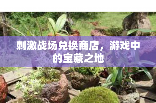 刺激战场兑换商店，游戏中的宝藏之地