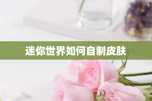 迷你世界如何自制皮肤