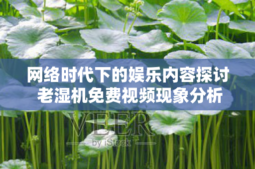 网络时代下的娱乐内容探讨 老湿机免费视频现象分析