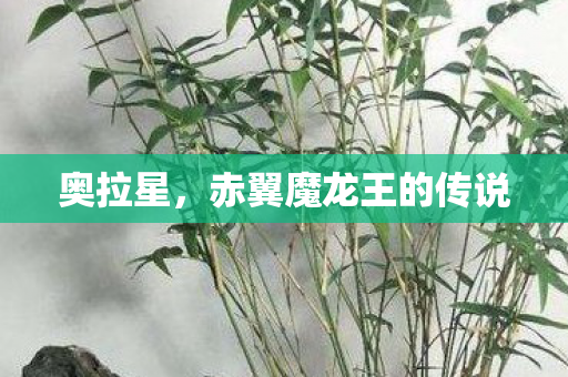 奥拉星，赤翼魔龙王的传说