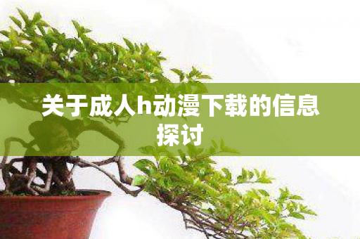 关于成人h动漫下载的信息探讨