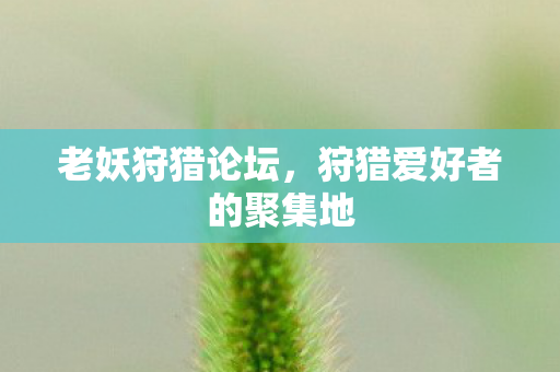 老妖狩猎论坛，狩猎爱好者的聚集地