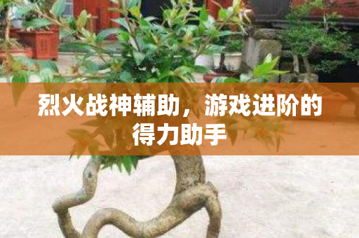 烈火战神辅助，游戏进阶的得力助手