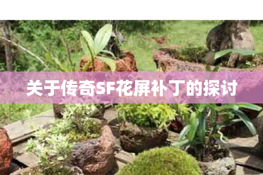关于传奇SF花屏补丁的探讨