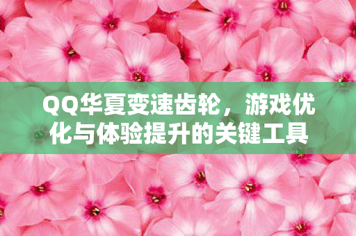 QQ华夏变速齿轮，游戏优化与体验提升的关键工具