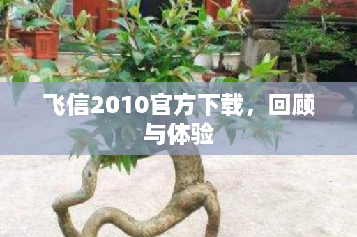飞信2010官方下载，回顾与体验