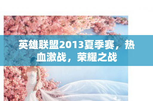 英雄联盟2013夏季赛，热血激战，荣耀之战