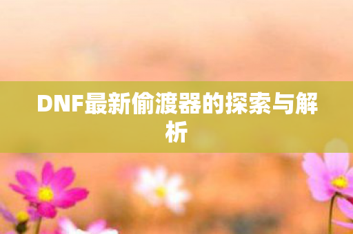 DNF最新偷渡器的探索与解析