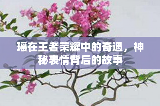 瑶在王者荣耀中的奇遇，神秘表情背后的故事