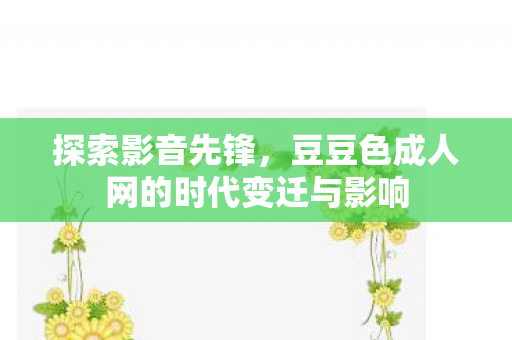 探索影音先锋，豆豆色成人网的时代变迁与影响