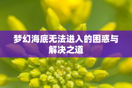 梦幻海底无法进入的困惑与解决之道