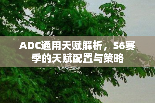 ADC通用天赋解析，S6赛季的天赋配置与策略