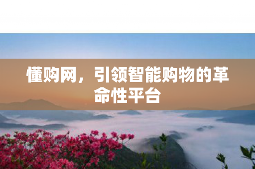 懂购网，引领智能购物的革命性平台
