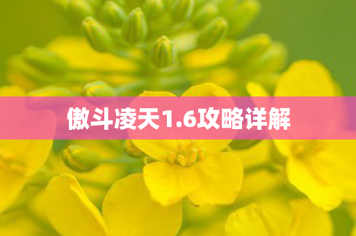 傲斗凌天1.6攻略详解