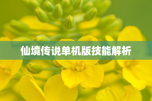 仙境传说单机版技能解析