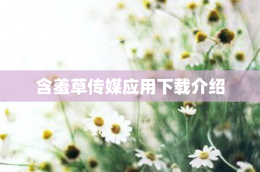 含羞草传媒应用下载介绍