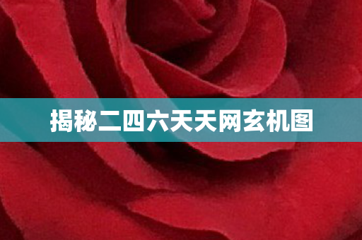 揭秘二四六天天网玄机图 揭秘二四六天天网玄机图