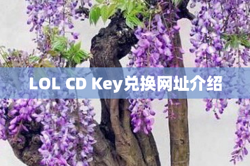 LOL CD Key兑换网址介绍