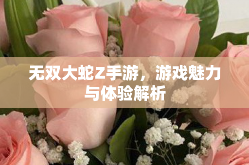 无双大蛇Z手游，游戏魅力与体验解析