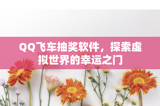 QQ飞车抽奖软件，探索虚拟世界的幸运之门