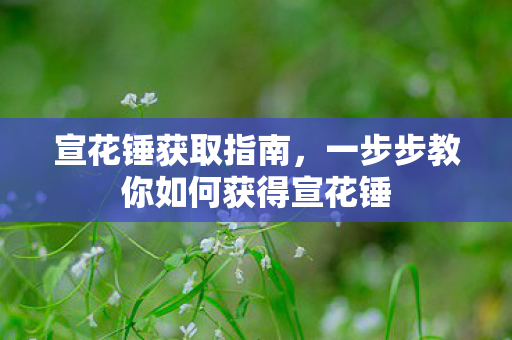 宣花锤获取指南，一步步教你如何获得宣花锤