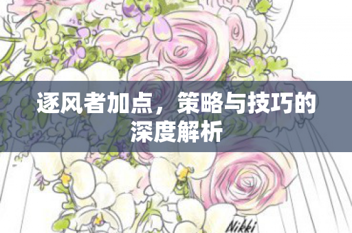逐风者加点，策略与技巧的深度解析