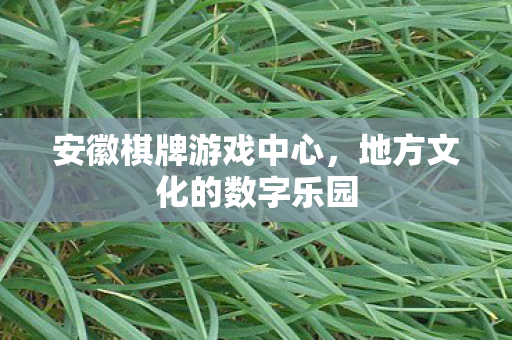 安徽棋牌游戏中心，地方文化的数字乐园