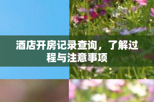 酒店开房记录查询，了解过程与注意事项