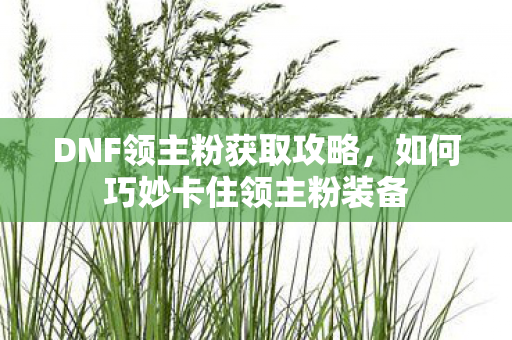 DNF领主粉获取攻略，如何巧妙卡住领主粉装备