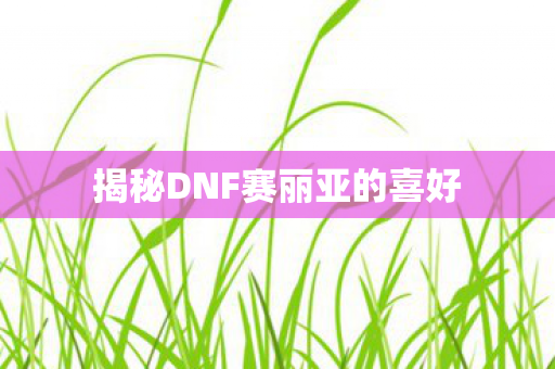 揭秘DNF赛丽亚的喜好