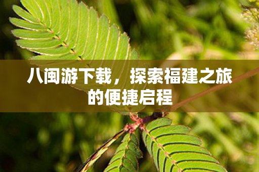 八闽游下载，探索福建之旅的便捷启程
