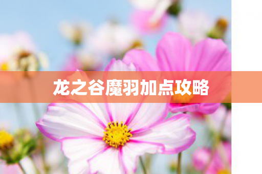 龙之谷魔羽加点攻略
