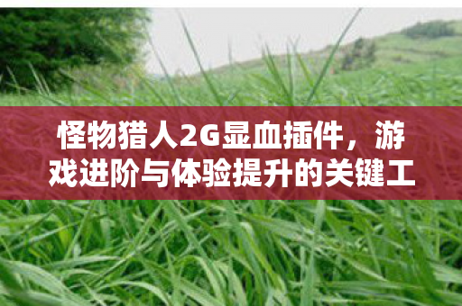 怪物猎人2G显血插件，游戏进阶与体验提升的关键工具