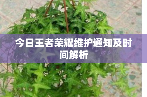 今日王者荣耀维护通知及时间解析