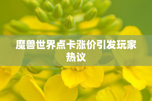 魔兽世界点卡涨价引发玩家热议