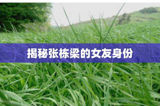 揭秘张栋梁的女友身份
