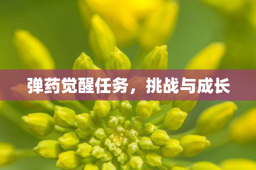 弹药觉醒任务，挑战与成长