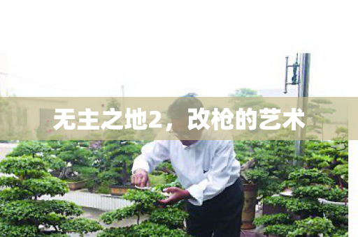 无主之地2，改枪的艺术