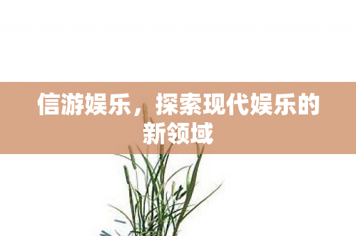信游娱乐，探索现代娱乐的新领域