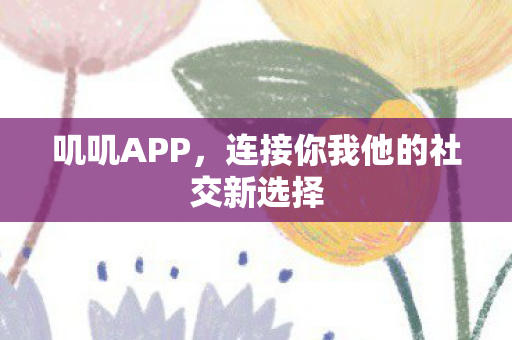 叽叽APP，连接你我他的社交新选择