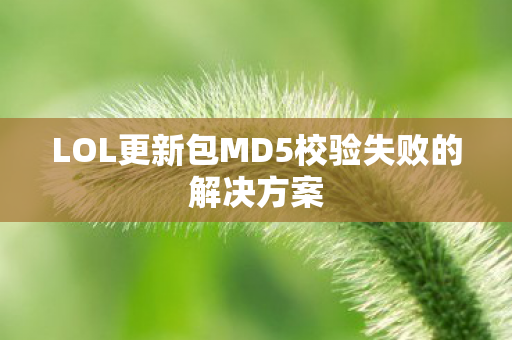 LOL更新包MD5校验失败的解决方案