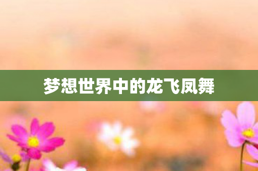 梦想世界中的龙飞凤舞