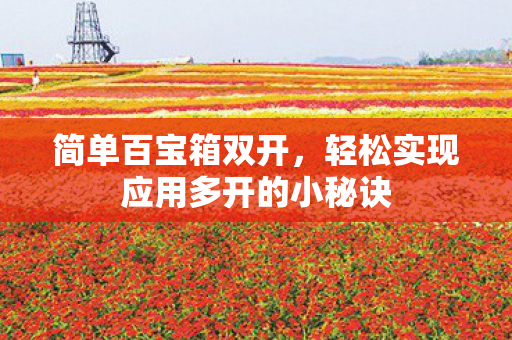 简单百宝箱双开，轻松实现应用多开的小秘诀