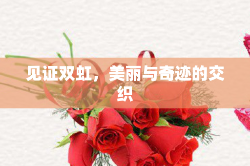 见证双虹，美丽与奇迹的交织