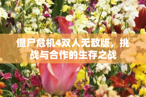 僵尸危机4双人无敌版，挑战与合作的生存之战