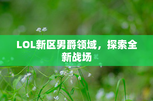 LOL新区男爵领域，探索全新战场