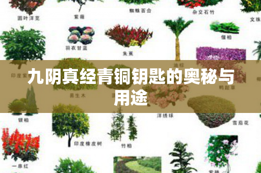 九阴真经青铜钥匙的奥秘与用途